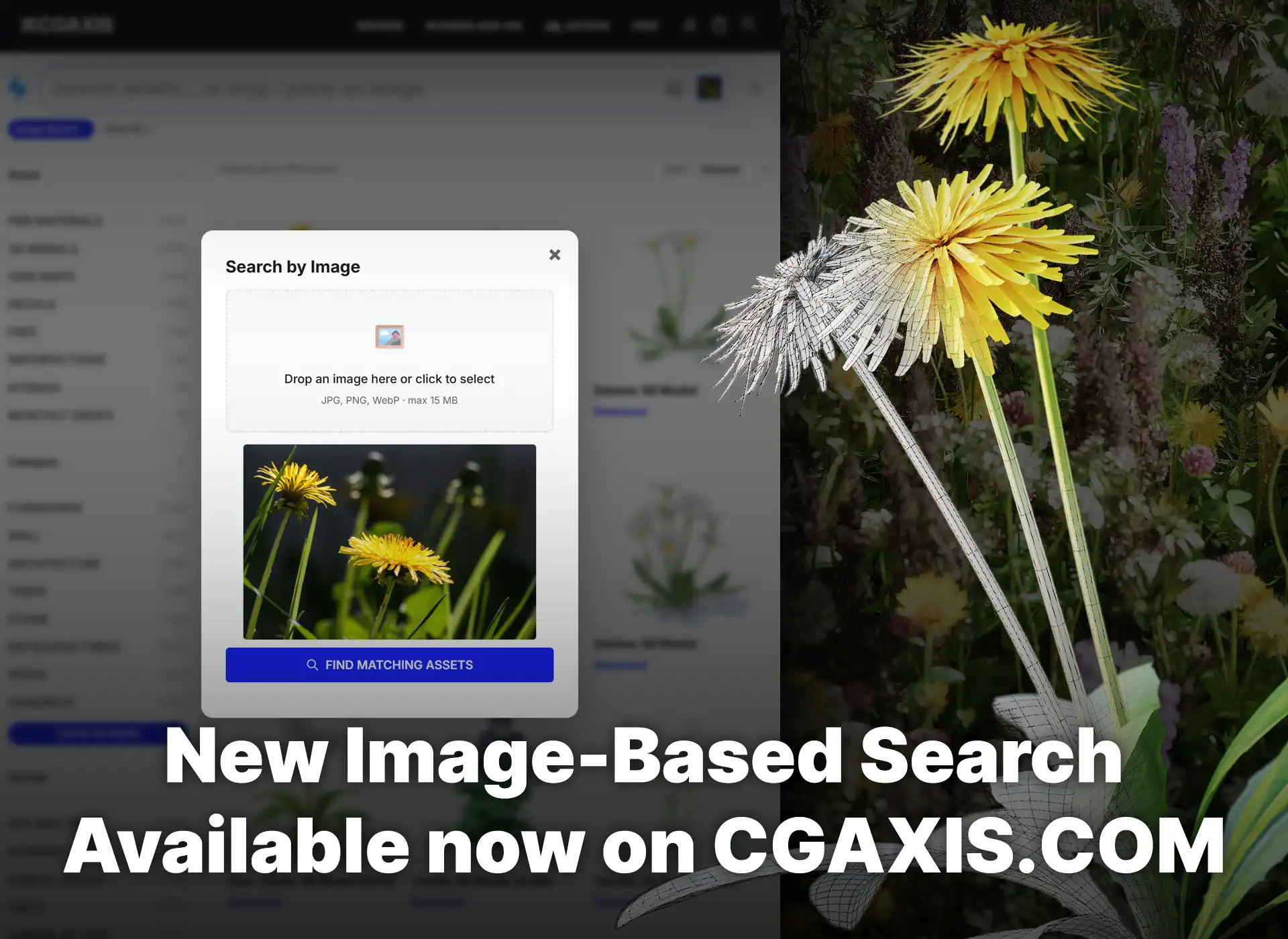 CGAxis Visual Search